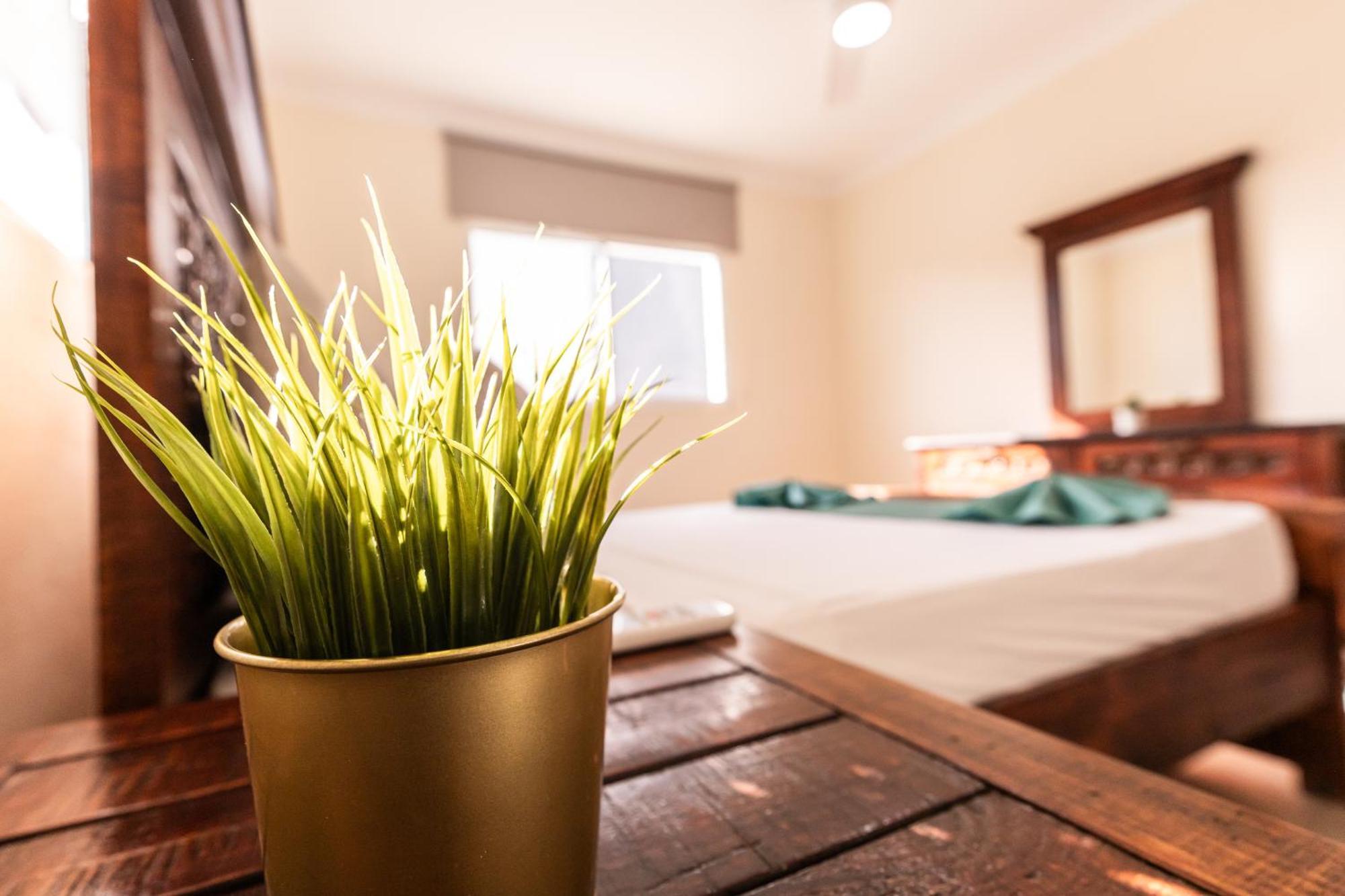 Hostal Las Rosas De Punta Cana Eksteriør billede